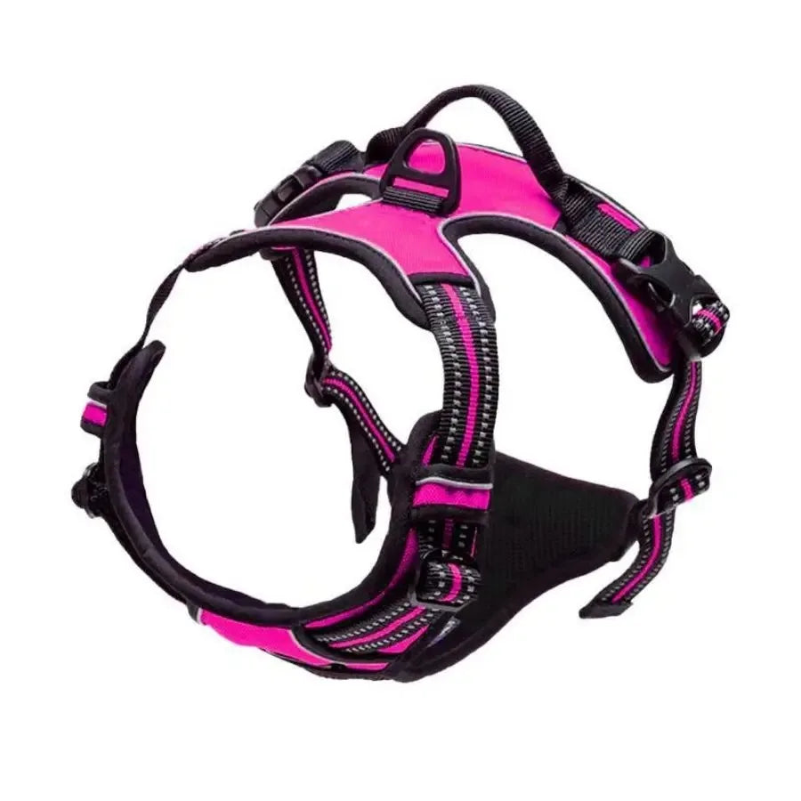 Leather Dog Collar & Harness Set with Leash – Adjustable Vest for Small & Medium Dogs